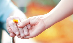 Voluntariado